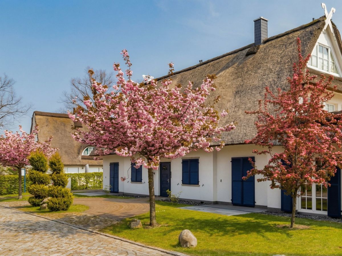 Virtual Tour